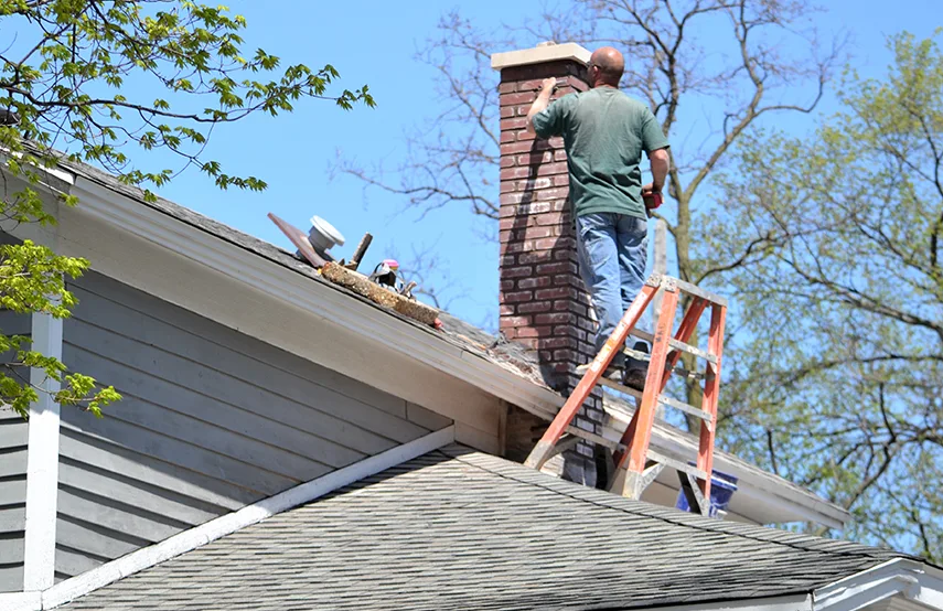 Chimney & Fireplace Inspections Services in Adelphi, MD